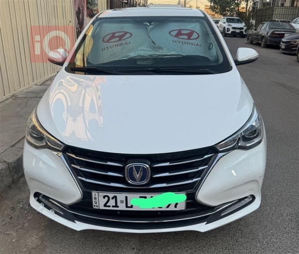 شانجان السفن 2024 للبيع في العراق -  بغداد